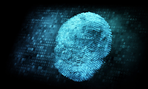 image of a fingerprint